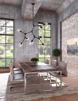 Organic Chandelier