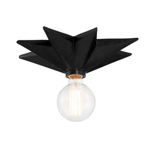 Astro 1 Light Black Flush Mount 9230-BK_CEILING