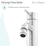 Ivy Bidet Faucet in Chrome