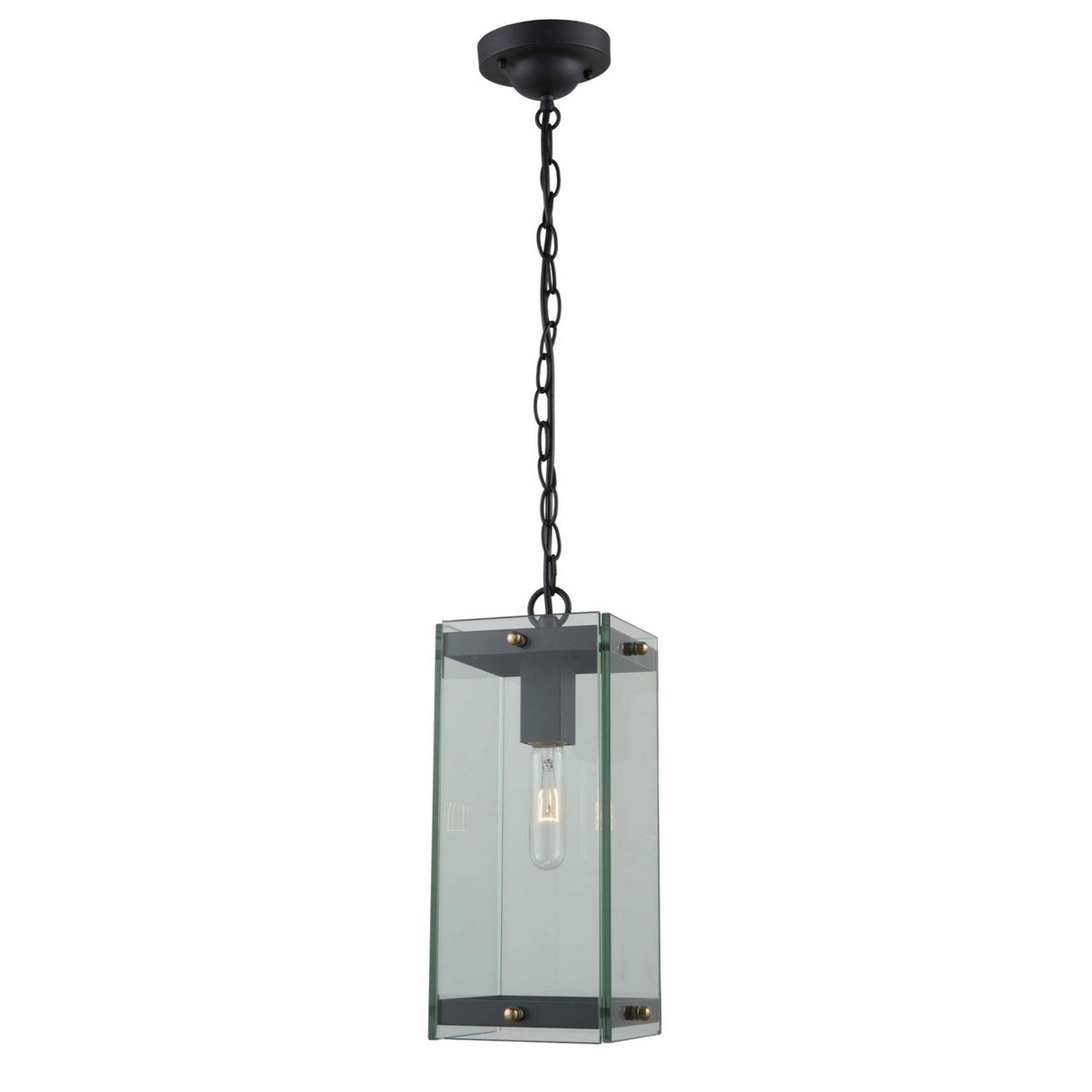 Bradgate Outdoor Pendant - Matte Black & Harvest Brass / 19.25