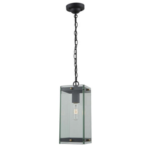 Bradgate Outdoor Pendant - Matte Black & Harvest Brass / 19.25