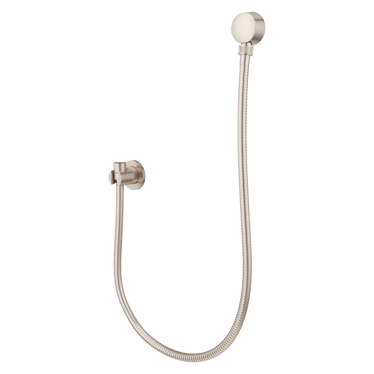 Modern Round 3-Piece Handheld Shower Kit with 60 in. Hose in Brushed Nickel