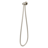 Modern Round 2-Piece Handheld Shower Kit with 60 in. Hose in Polished Nickel