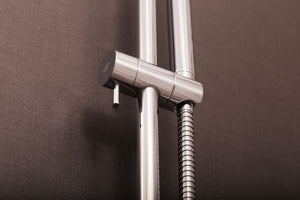 DAX Stainless Steel Hand Shower with Round Adjustable Slide Bar, Chrome DAX-9516