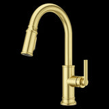Colfax Pulldown Kitchen Faucet in Brushed Gold
