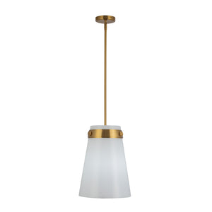 Dahlia Cone Pendant - Brushed Brass