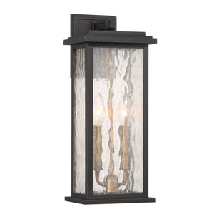 Estate Outdoor Wall Sconce - Black, Brass / 17