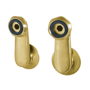 Vintage AE3SE7 Swivel Elbows for Wall Mount Tub Faucet, Brushed Brass