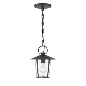 Andover 1 Light Matte Black Outdoor Pendant AND-9203-CL-MK