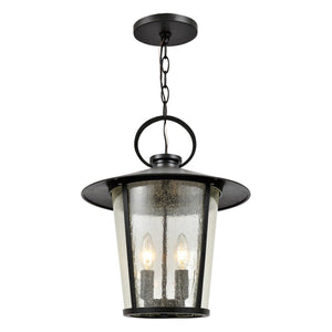 Andover 4 Light Matte Black Outdoor Pendant AND-9204-SD-MK