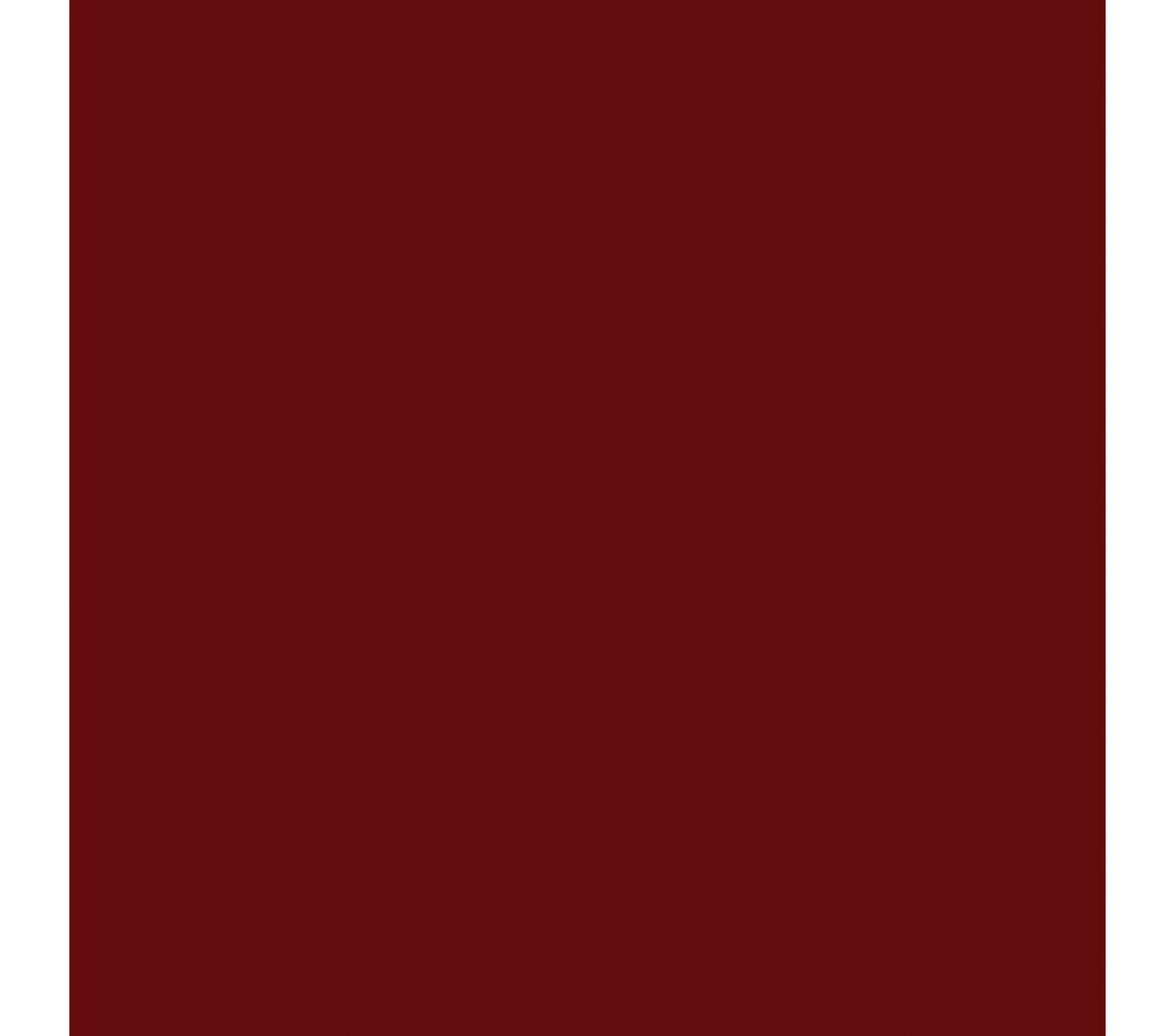 American Olean Color Story Wall Passion Rectangle 3x6 Glossy Wall Tile