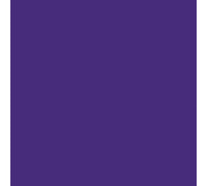 American Olean Color Story Wall Devotion Rectangle 8x24 Glossy Wall Tile