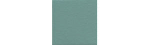 American Olean Unglazed Mosaics Fresh C701 Pool Nosing Matte Mosaic Tile Trim