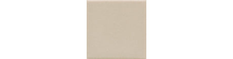 American Olean Unglazed Mosaics Willow Straight Joint 2x2 Matte Mosaic Tile