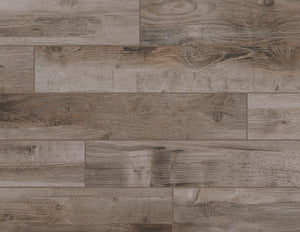 American Olean Bryson Valley Petrified Forest Plank 8x48 Matte Floor Tile