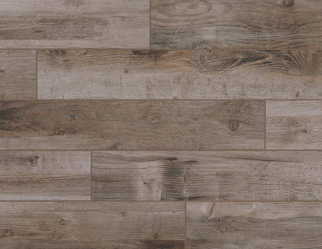 American Olean Bryson Valley Petrified Forest Plank 8x48 Matte Floor Tile