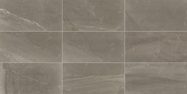 American Olean Merit Dark Gray Rectangle 12x24 Matte Floor Tile