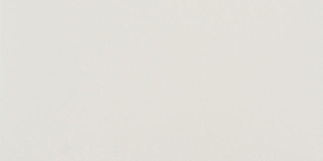 Daltile Median White Rectangle 12x24 Matte Floor Tile