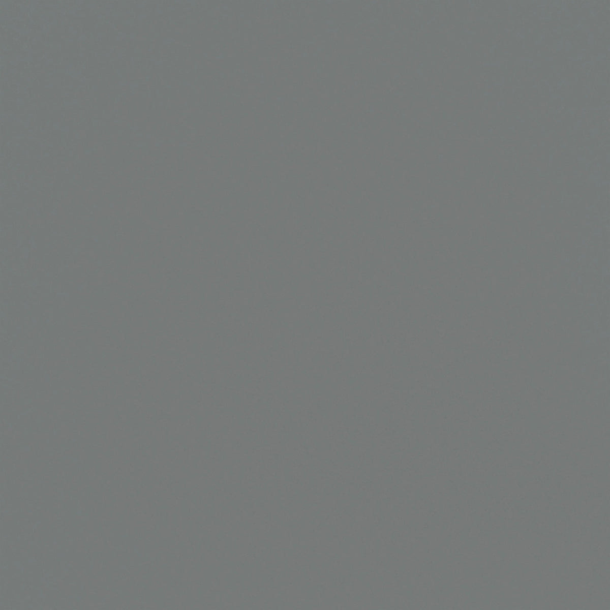 Daltile Median Charcoal Square 24x24 Textured Floor Tile