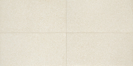 American Olean Neospeck White Rectangle 12x24 Light Polished Floor Tile