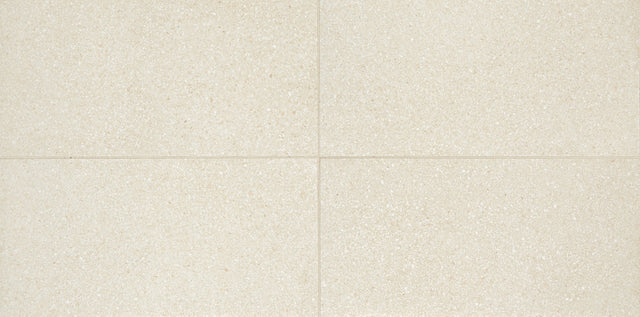 American Olean Neospeck White Rectangle 12x24 Light Polished Floor Tile