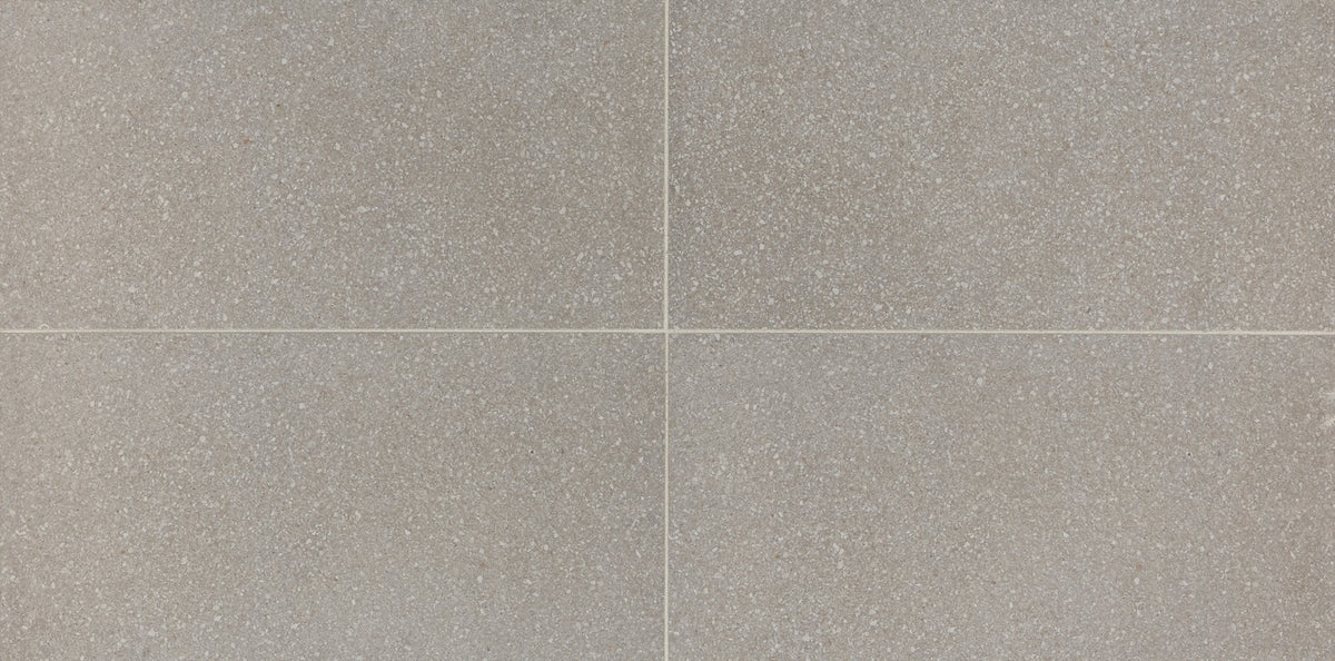 American Olean Neospeck Light Gray Rectangle 12x24 Light Polished Floor Tile NE0312241LK