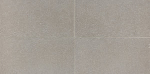 American Olean Neospeck Light Gray Rectangle 12x24 Light Polished Floor Tile NE0312241LK