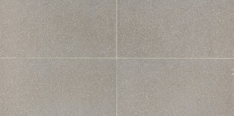 American Olean Neospeck Light Gray Rectangle 12x24 Light Polished Floor Tile NE0312241LK