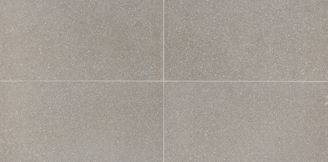 American Olean Neospeck Light Gray Rectangle 12x24 Light Polished Floor Tile NE0312241LK
