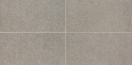 American Olean Neospeck Medium Gray Rectangle 12x24 Matte Floor Tile NE04RCT1224MT