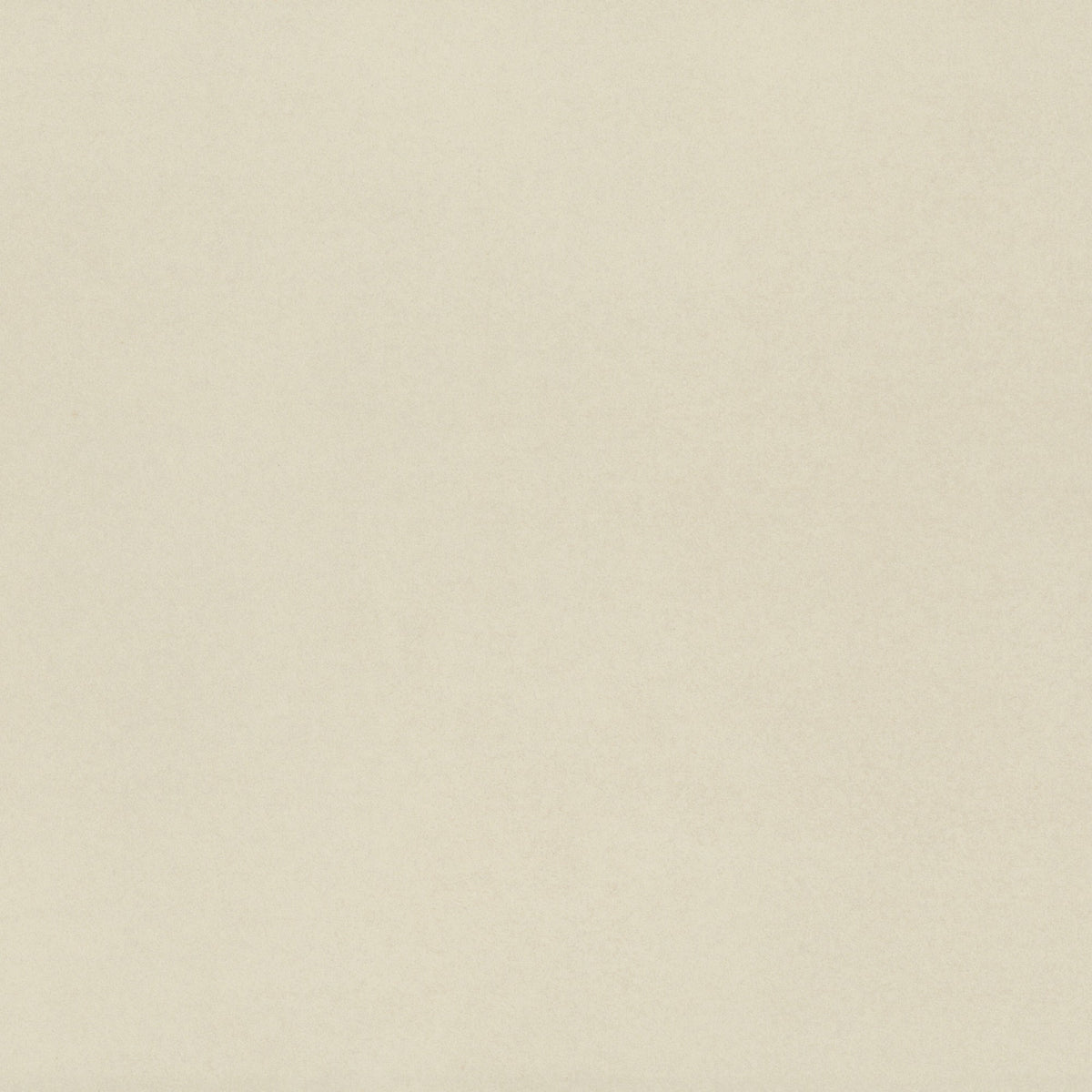 American Olean Neoconcrete White Square 24x24 Matte Floor Tile
