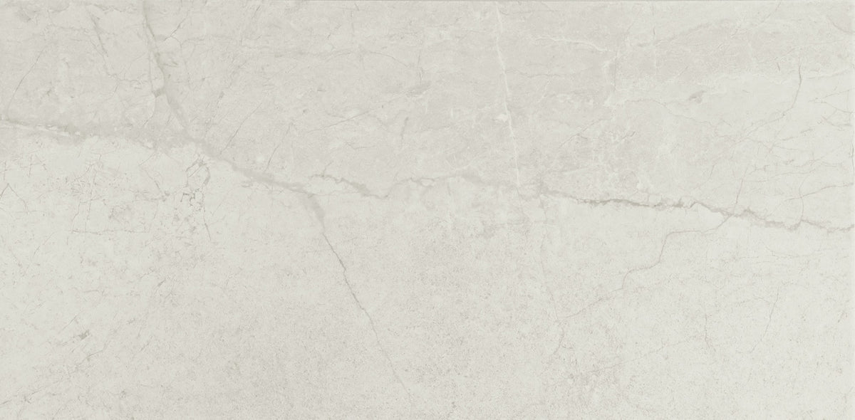 American Olean Stone Theory Notion Rectangle 12x24 Matte Floor Tile