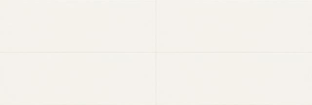 American Olean Visual Impressions White Rectangle 8x24 Matte Wall Tile