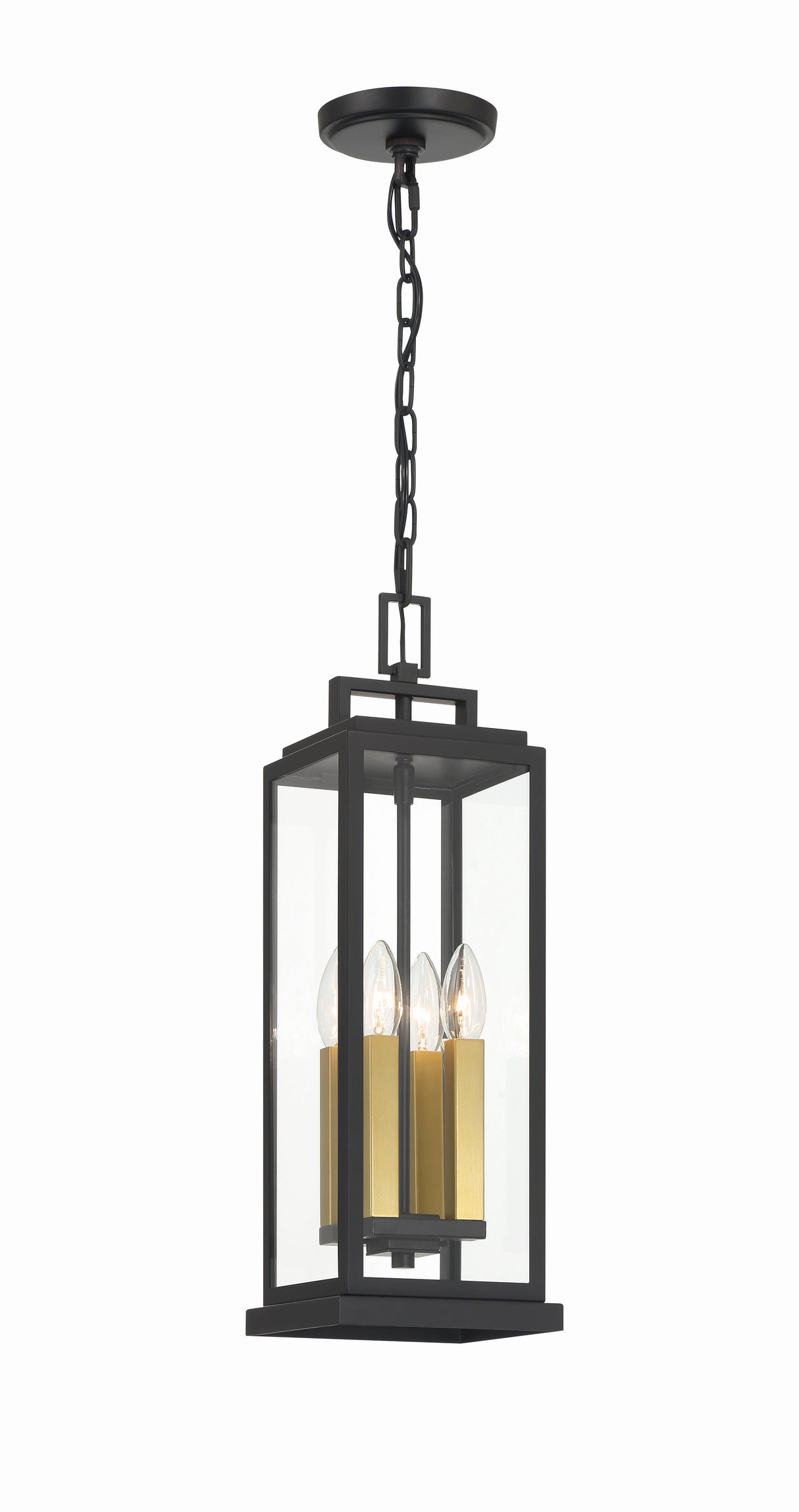 Aspen 4 Light Matte Black Outdoor Pendant ASP-8915-MK