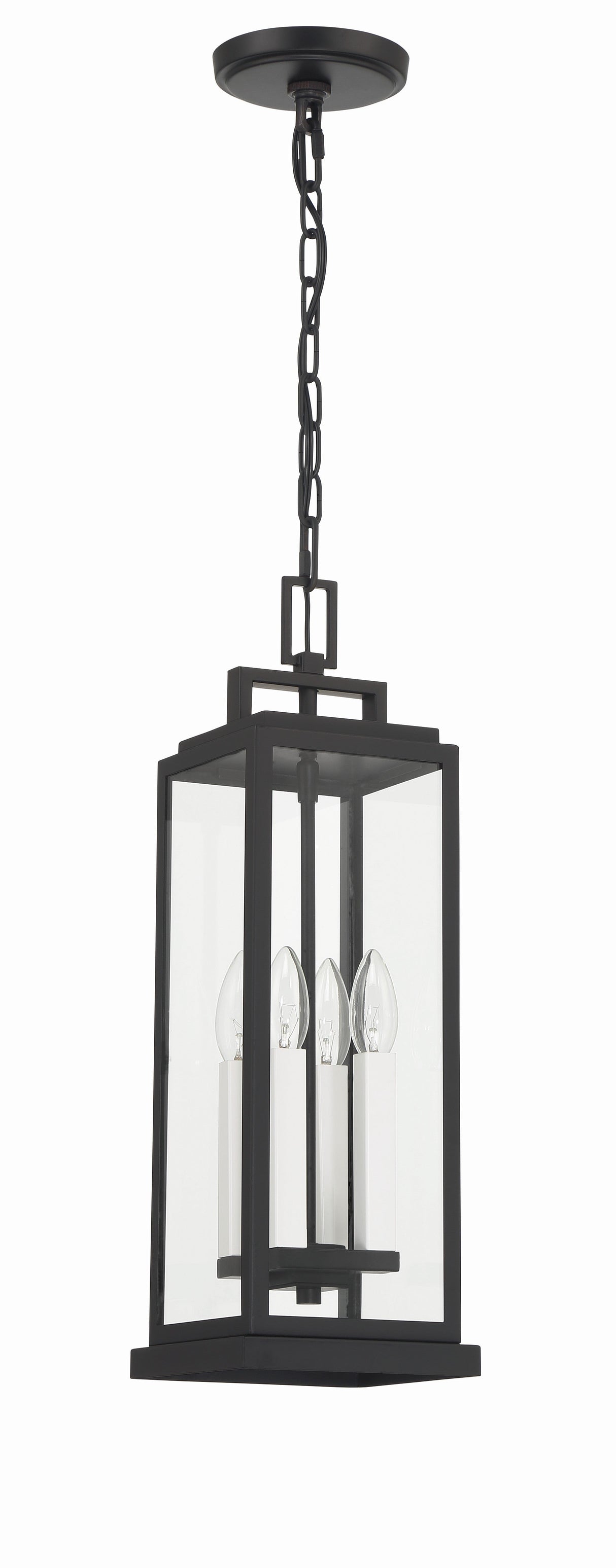 Aspen 4 Light Matte Black Outdoor Pendant ASP-8915-MK