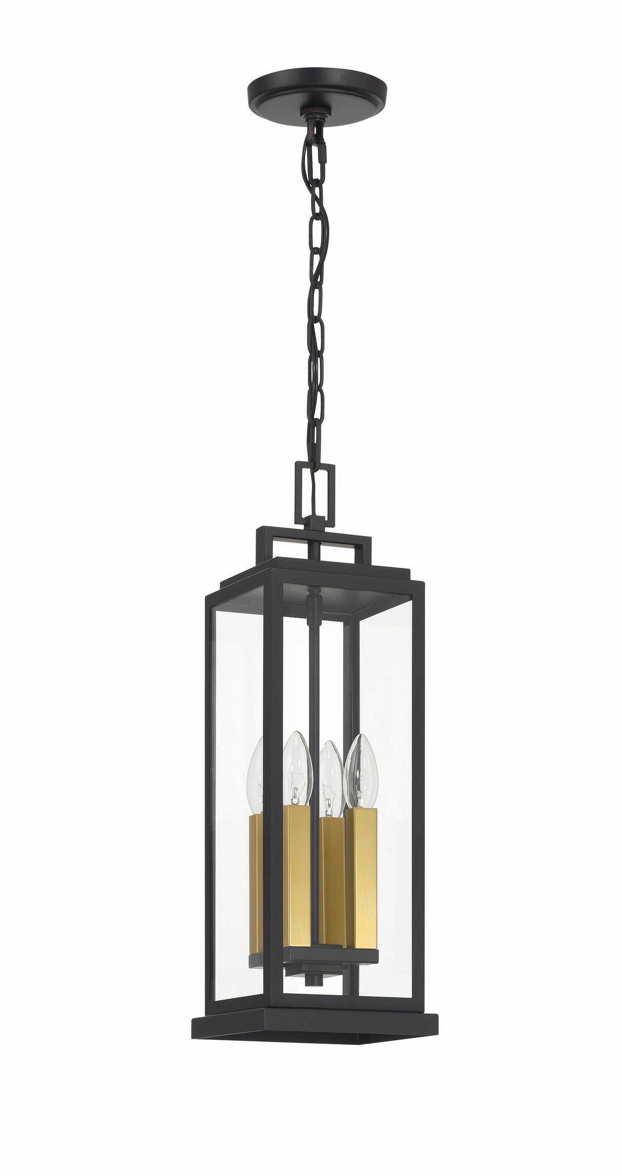 Aspen 4 Light Matte Black Outdoor Pendant ASP-8915-MK