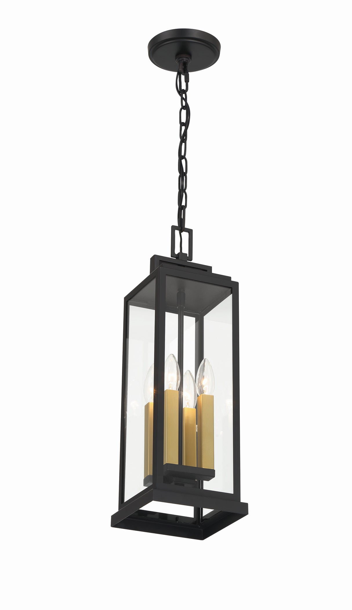 Aspen 4 Light Matte Black Outdoor Pendant ASP-8915-MK