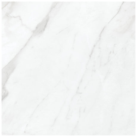 Anatolia Tile 20X20 Altezza Matte Carrara Porcelain Tile 68-320  - premium natural stone mosaic tile from Anatolia Tile, available at PoshHaus showroom in Keene, NH