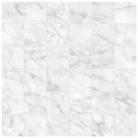 Anatolia Tile 2X2 La Marca Carrara Honed 36 Piece Porcelain Mosaics. 1 Sheet = .96 Sf. 4501-0370-0 (68-471) Carrara Gioia 2x2 Honed - premium natural stone mosaic tile from Anatolia Tile, available at PoshHaus showroom in Keene, NH