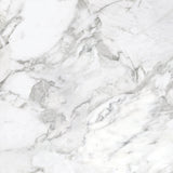 Anatolia Tile 32X32 La Marca Arabescato Honed 4500-0854-1  - premium natural stone mosaic tile from Anatolia Tile, available at PoshHaus showroom in Keene, NH