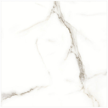 Anatolia Tile 24X24 Mayfair Calacatta Oro Polished Rectified Porcelain 4500-0377-1 Calacatta Oro 24x24 Polished - premium natural stone mosaic tile from Anatolia Tile, available at PoshHaus showroom in Keene, NH