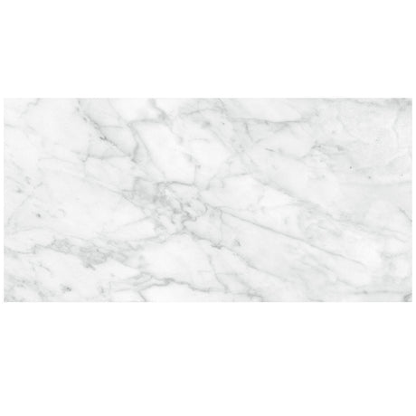 Anatolia Tile 12X24 Plata Carrara M Matte 4500-0976-0 Carrara Abisso 12x24 Matte - premium natural stone mosaic tile from Anatolia Tile, available at PoshHaus showroom in Keene, NH