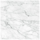 Anatolia Tile 24X24 Plata Carrara M Matte 4500-0968-0 Carrara Abisso 24x24 Matte - premium natural stone mosaic tile from Anatolia Tile, available at PoshHaus showroom in Keene, NH
