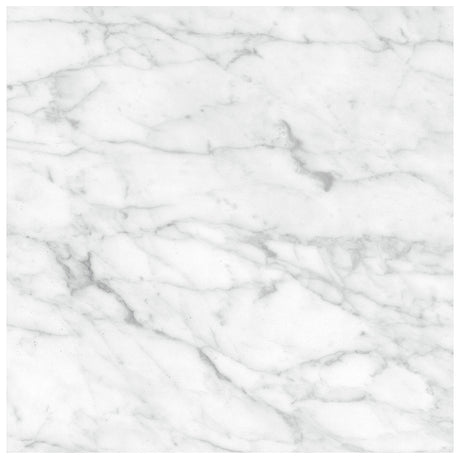 Anatolia Tile 24X24 Plata Carrara M Matte 4500-0968-0 Carrara Abisso 24x24 Matte - premium natural stone mosaic tile from Anatolia Tile, available at PoshHaus showroom in Keene, NH