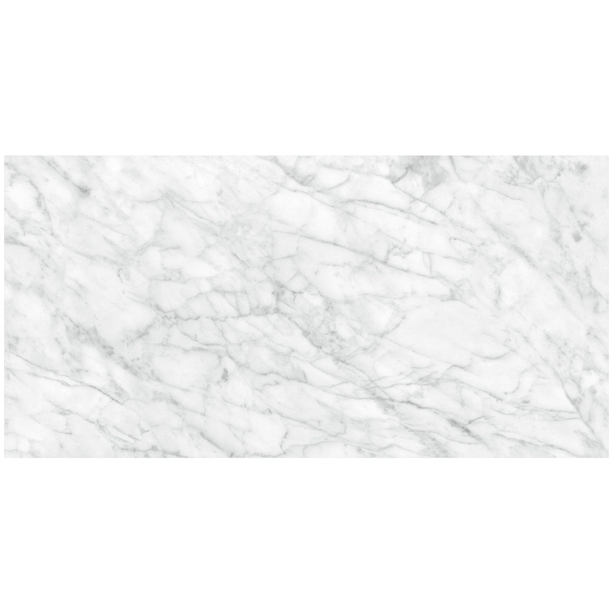 Anatolia Tile 24X48 Plata Carrara P Polished 4500-0959-0 Carrara Abisso 24x48 Polished - premium natural stone mosaic tile from Anatolia Tile, available at PoshHaus showroom in Keene, NH