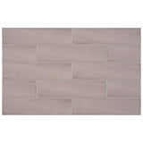 Anatolia Tile 3X12 Teramoda Petal Glossy 4000-0252-0 Petal - premium natural stone mosaic tile from Anatolia Tile, available at PoshHaus showroom in Keene, NH