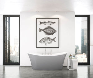 Ariosa 6636 PoshHaus