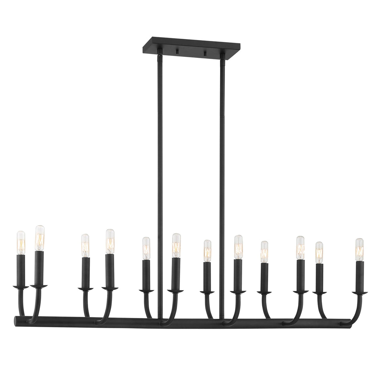 Bailey 12 Light Matte Black Chandelier BAI-A2112-MK