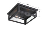 Byron 2 Light Matte Black Outdoor Flush Mount BYR-80100-MK