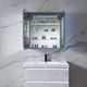 Blossom Capella 30x32 Inside LED Light on Door Medicine Cabinet